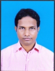 Mr. Biswajit Das